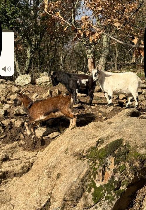 Photo of Others in Saint-Michel-de-Chabrillanoux