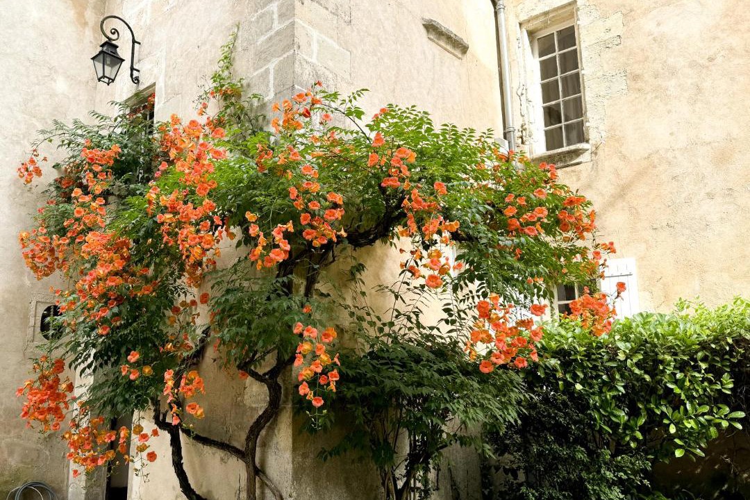 Photo of Others in Saint-Astier