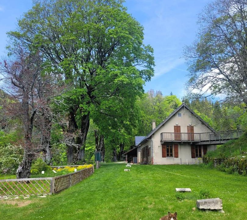 Photo of Others in Lochieu