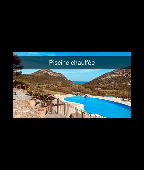 Photo of Others in Patrimonio