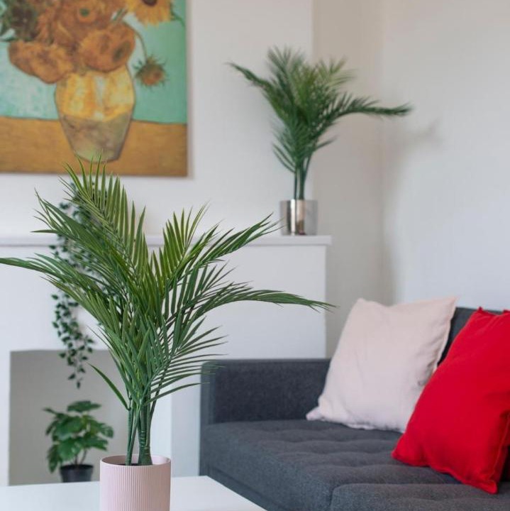 Photo of Livingroom in Vassall