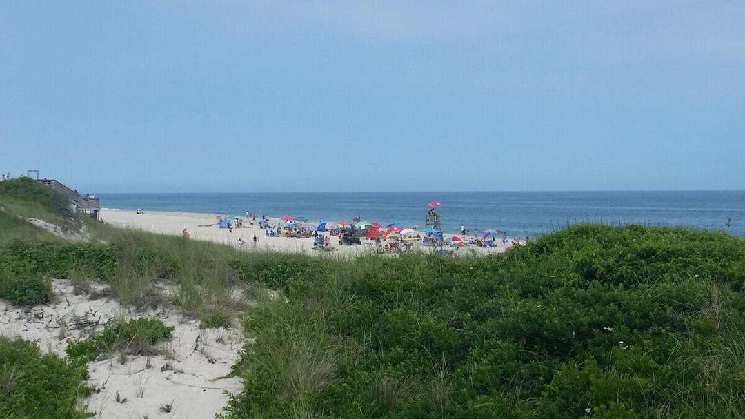 Photo of Others in Bayberry Dunes