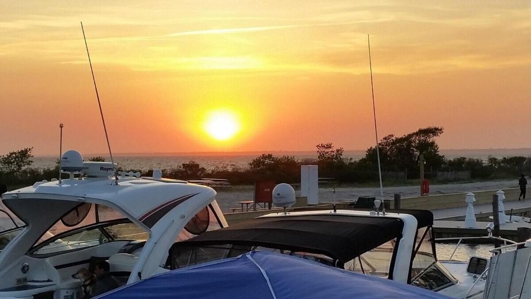 Photo of Others in Bayberry Dunes