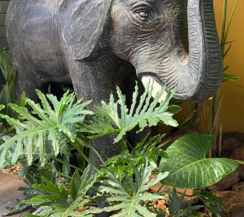 Photo of Others in Dubbo