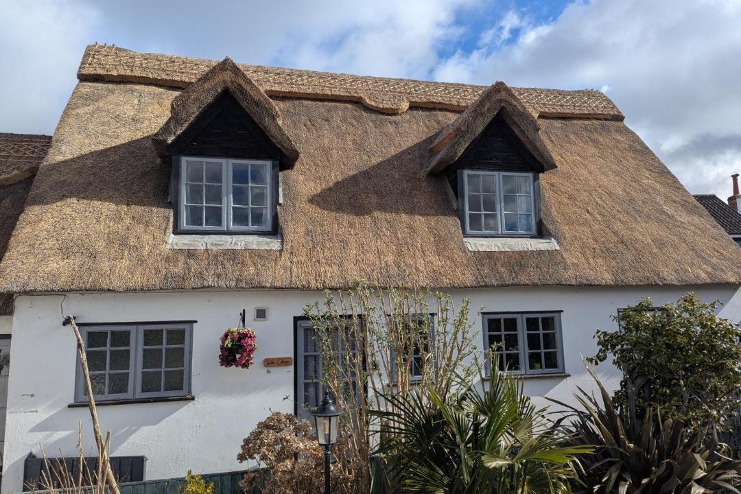 Photo of Others in Horning