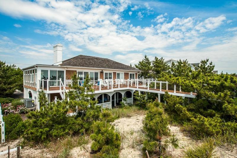 Photo of Others in North Shores