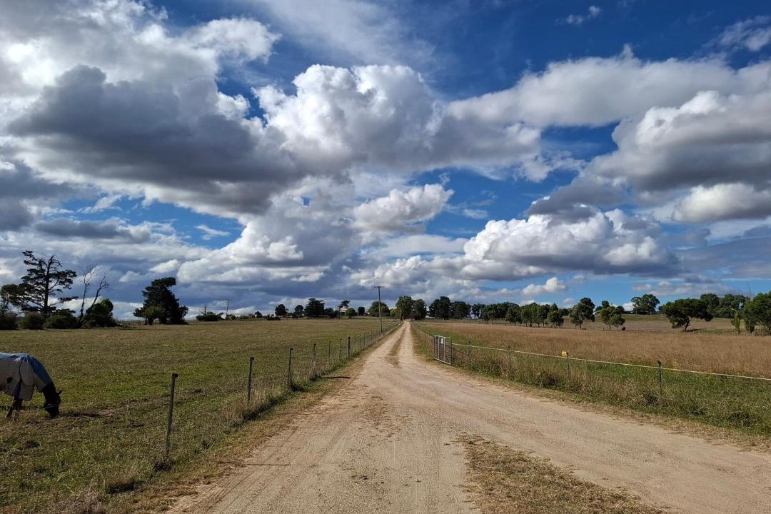 Photo of Others in Eglinton