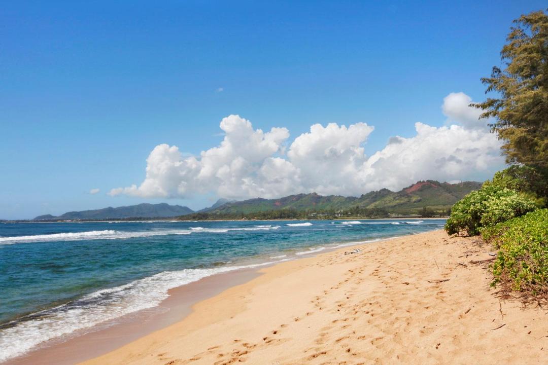 Photo of Others in Wailua