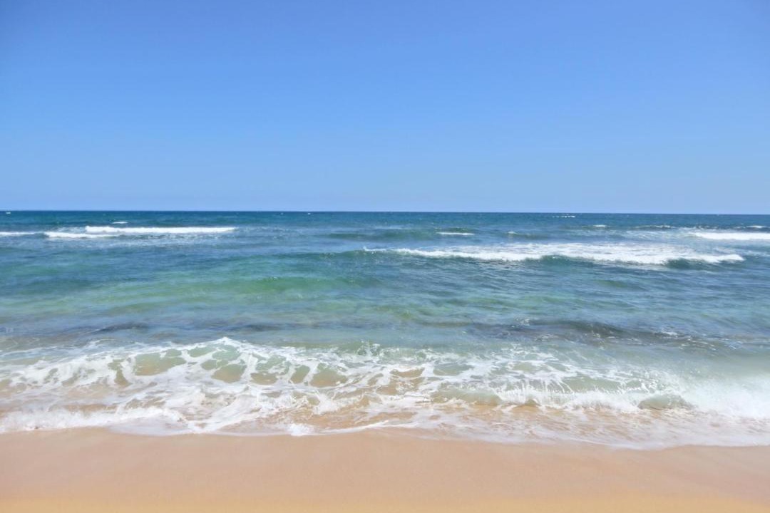 Photo of Others in Wailua