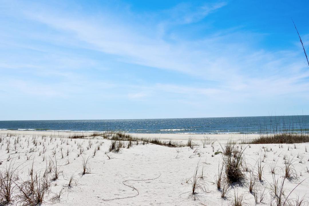 Photo of Others in Port St. Joe