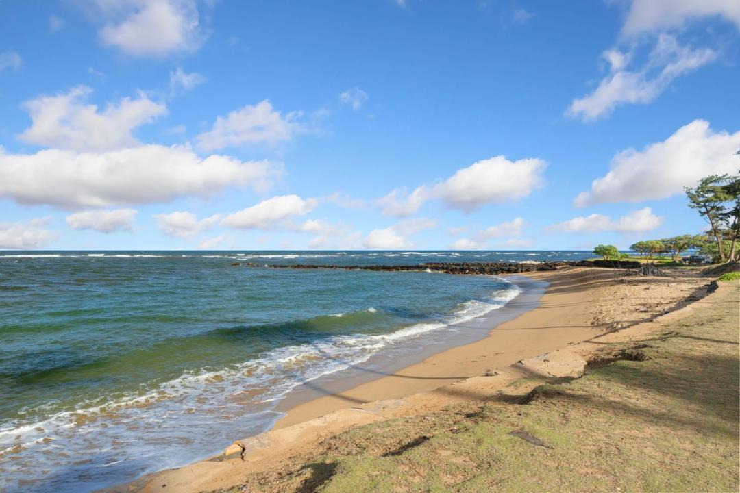 Photo of Others in Kapaa