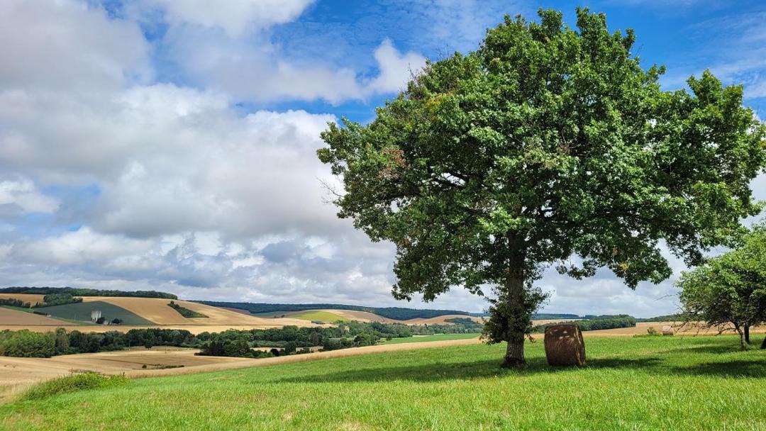 Photo of Others in Aix-Villemaur-Palis