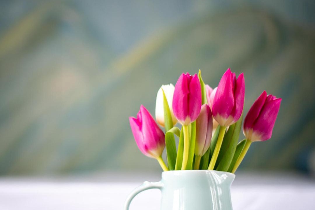 Photo of Others in Portinscale