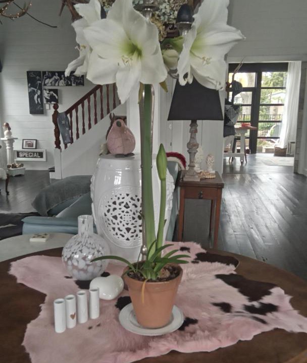 Photo of Livingroom in Takapau