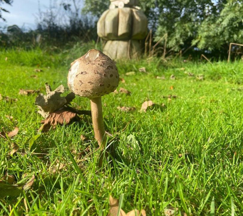 Photo of Others in Newchapel