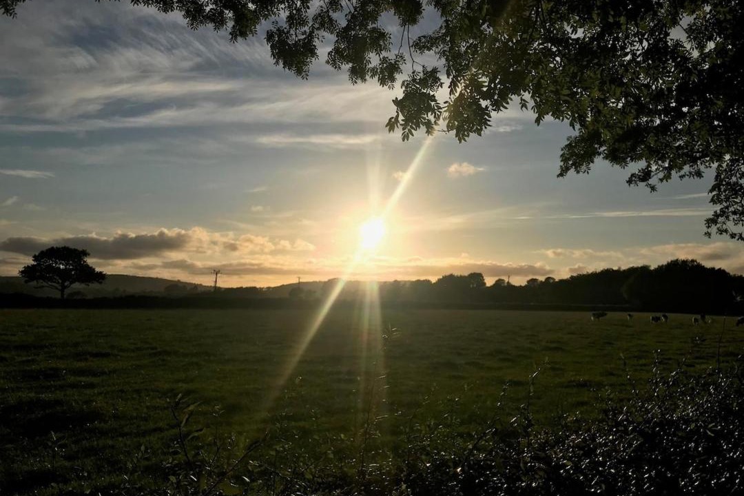 Photo of Others in Newchapel