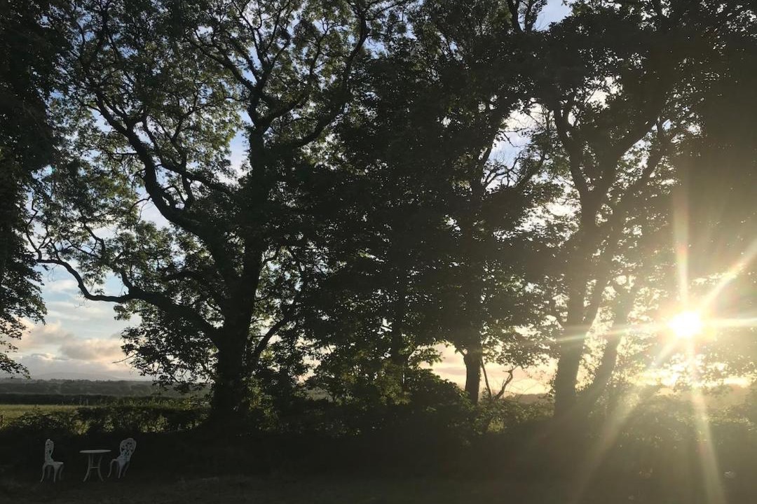 Photo of Others in Newchapel