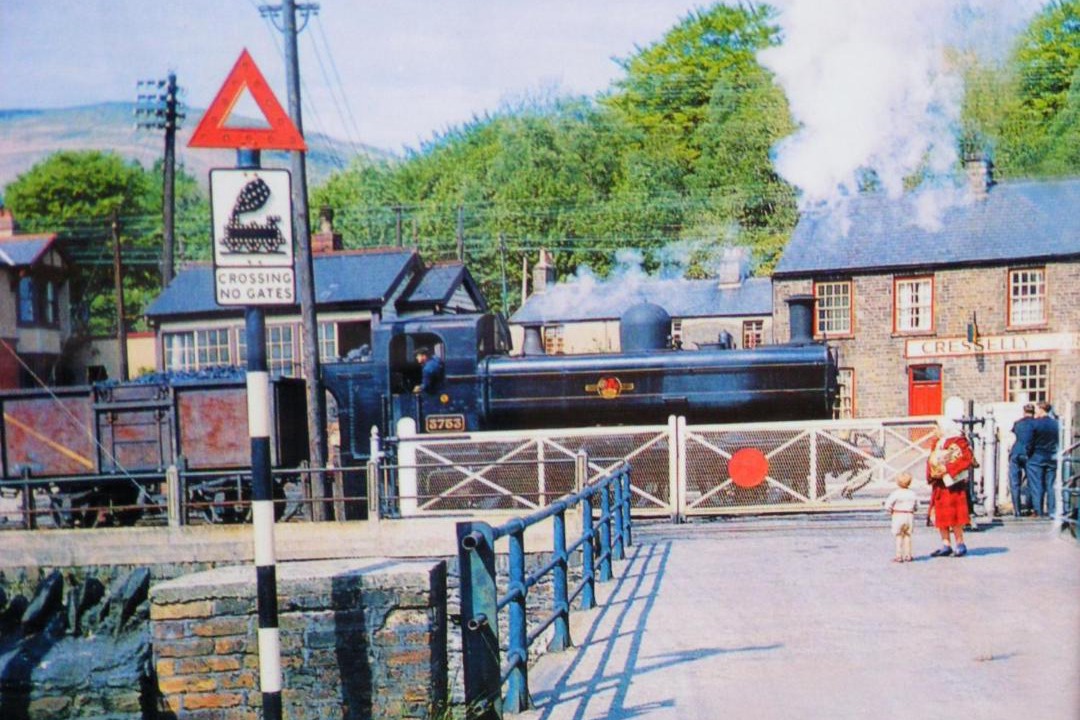 Photo of Others in Mountain Ash