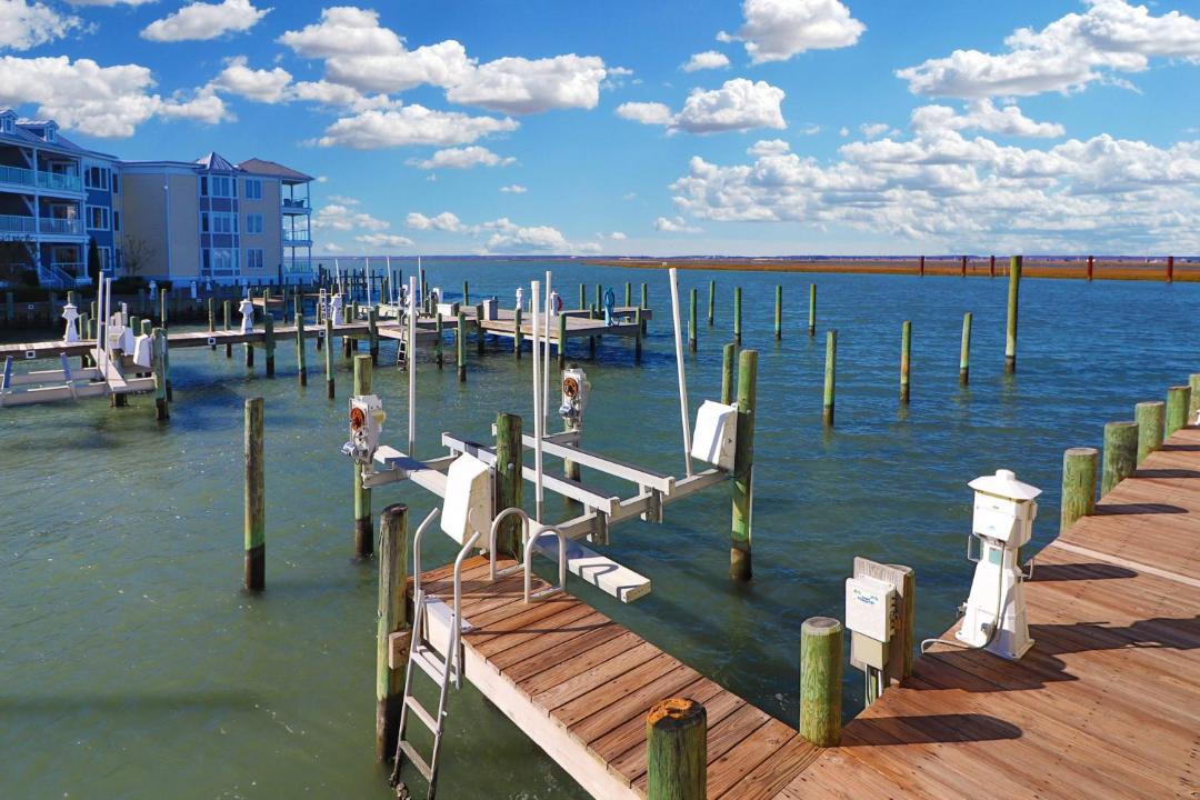 Photo of Others in Chincoteague