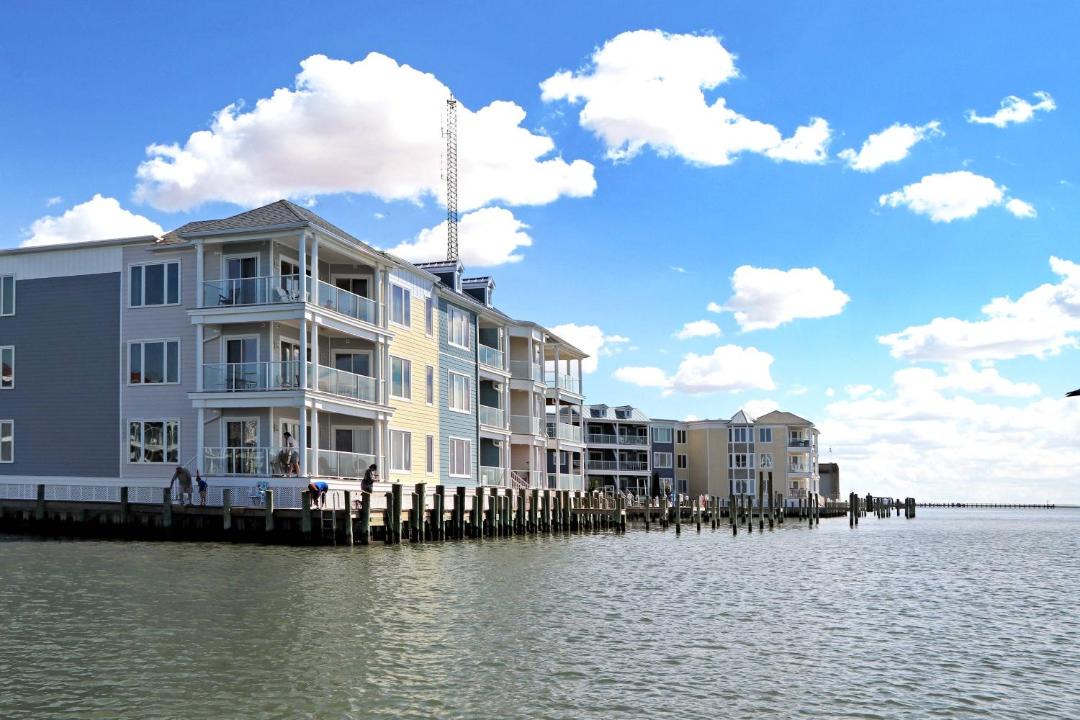 Photo of Others in Chincoteague