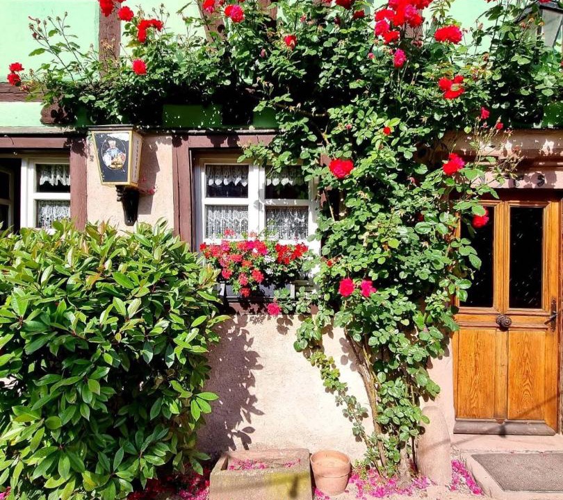 Photo of Others in Beblenheim