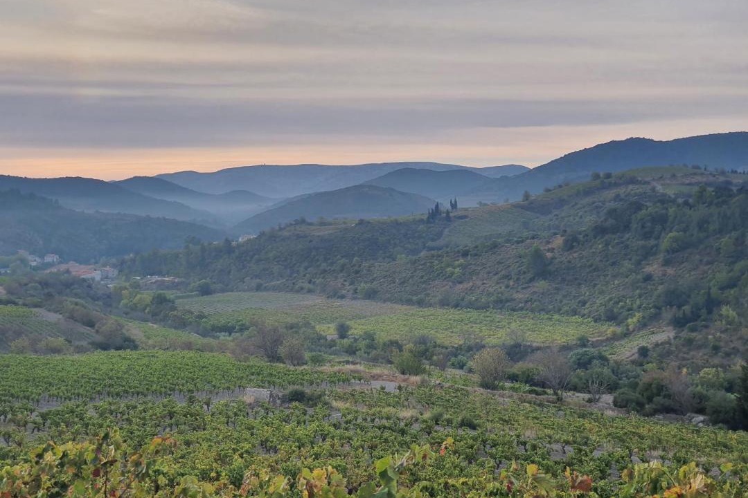 Photo of Others in Cascastel-des-Corbieres