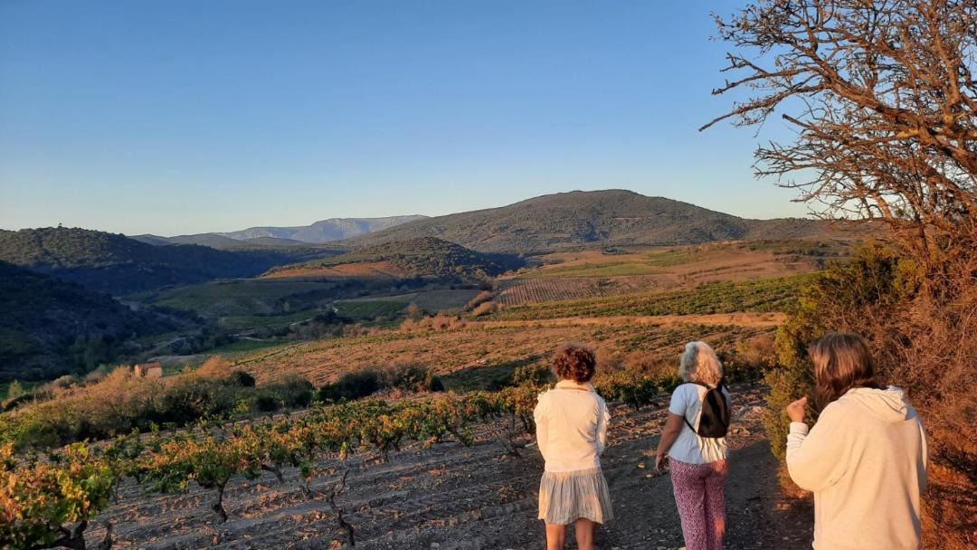 Photo of Others in Cascastel-des-Corbieres