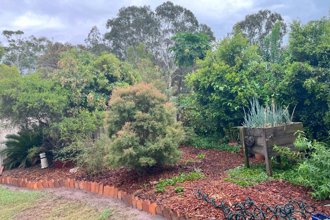 Photo of Others in Torquay