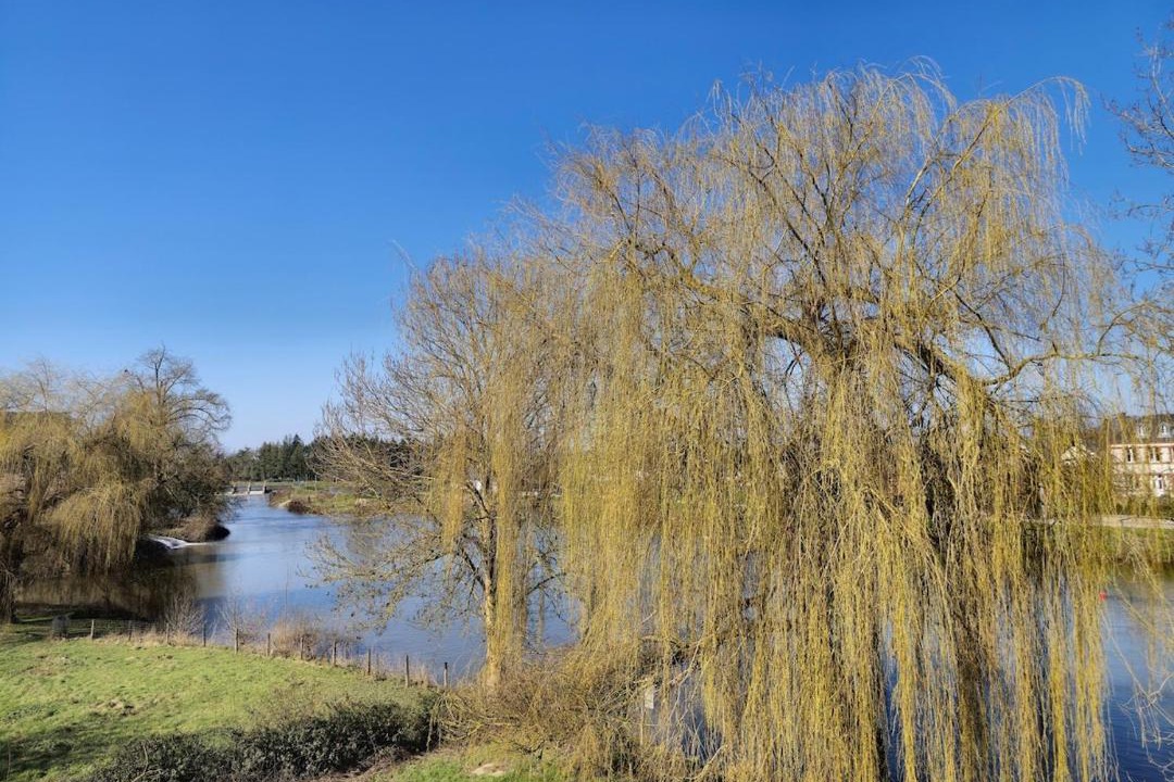 Photo of Others in Pont Rean