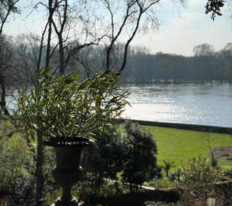 Photo of Others in Sainte-Gemmes-sur-Loire