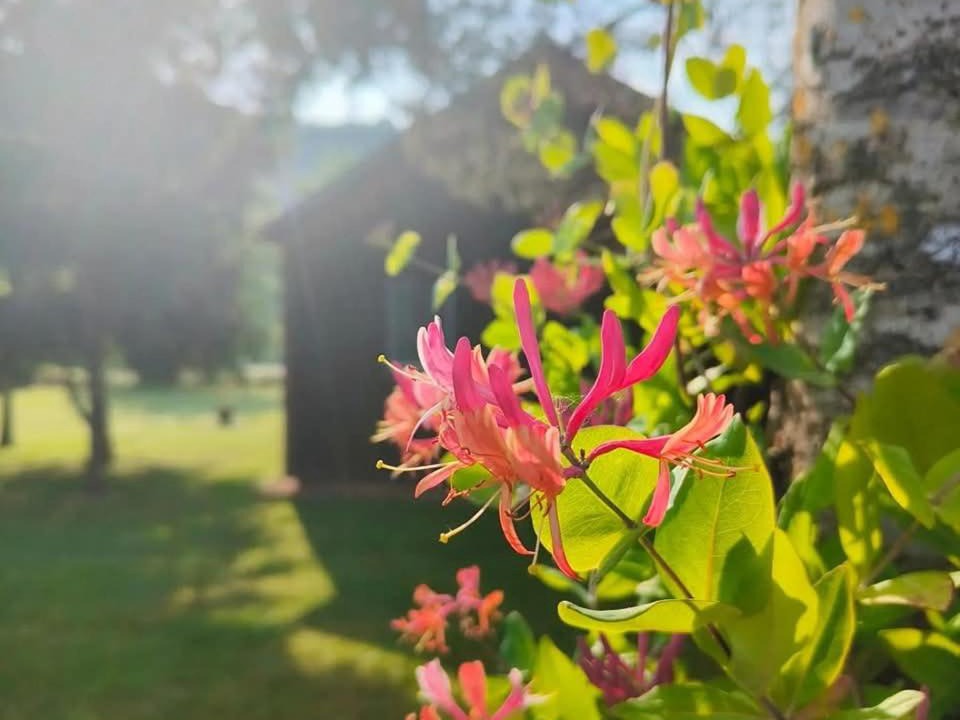 Photo of Outdoor in Chirac