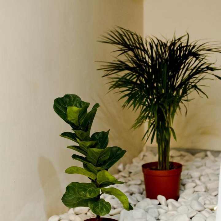 Photo of Others in Kuala Lumpur