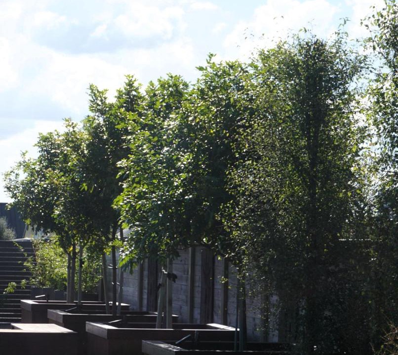 Photo of Others in Leamington