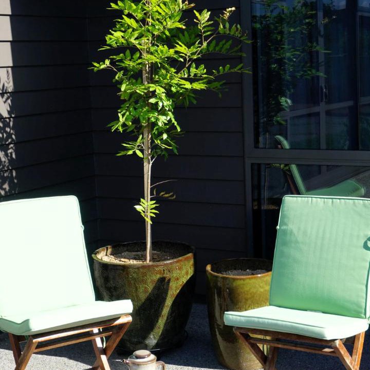 Photo of Others in Leamington