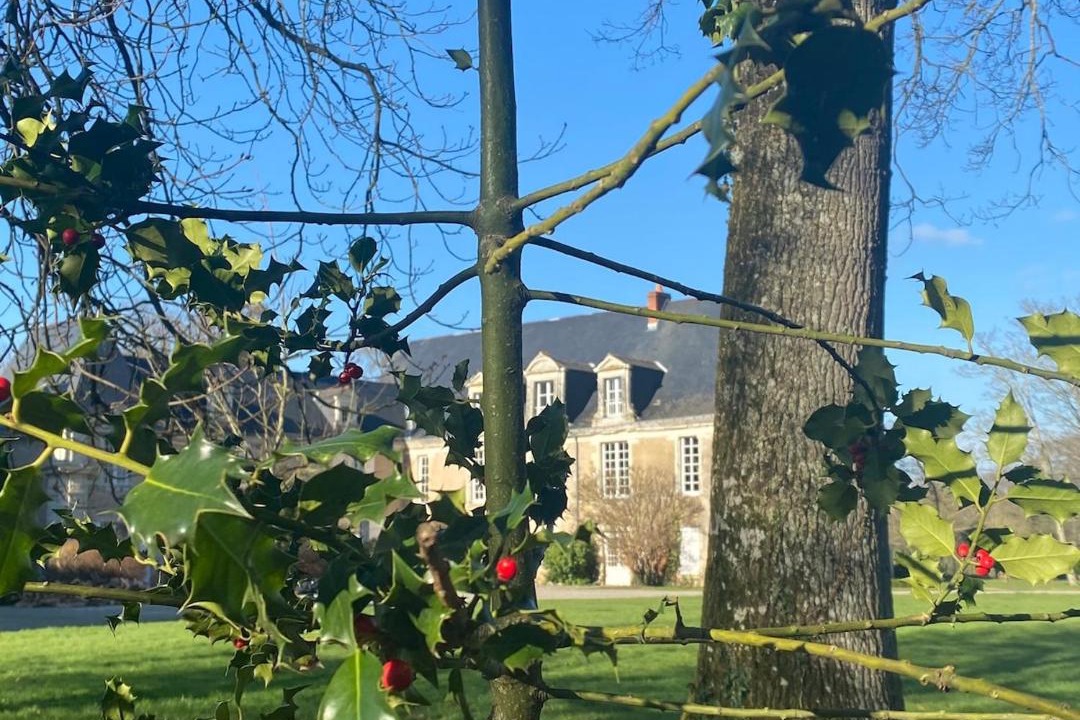 Photo of Others in Avrille