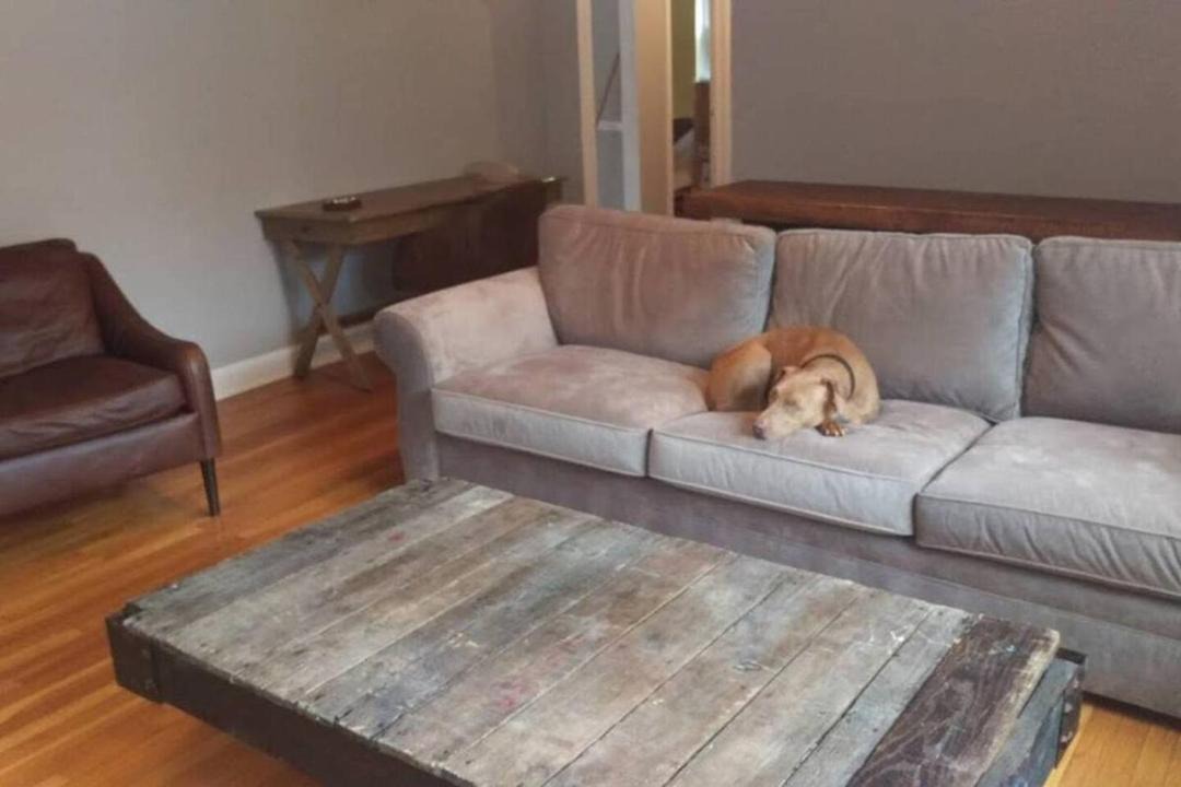 Photo of Livingroom in Berwyn