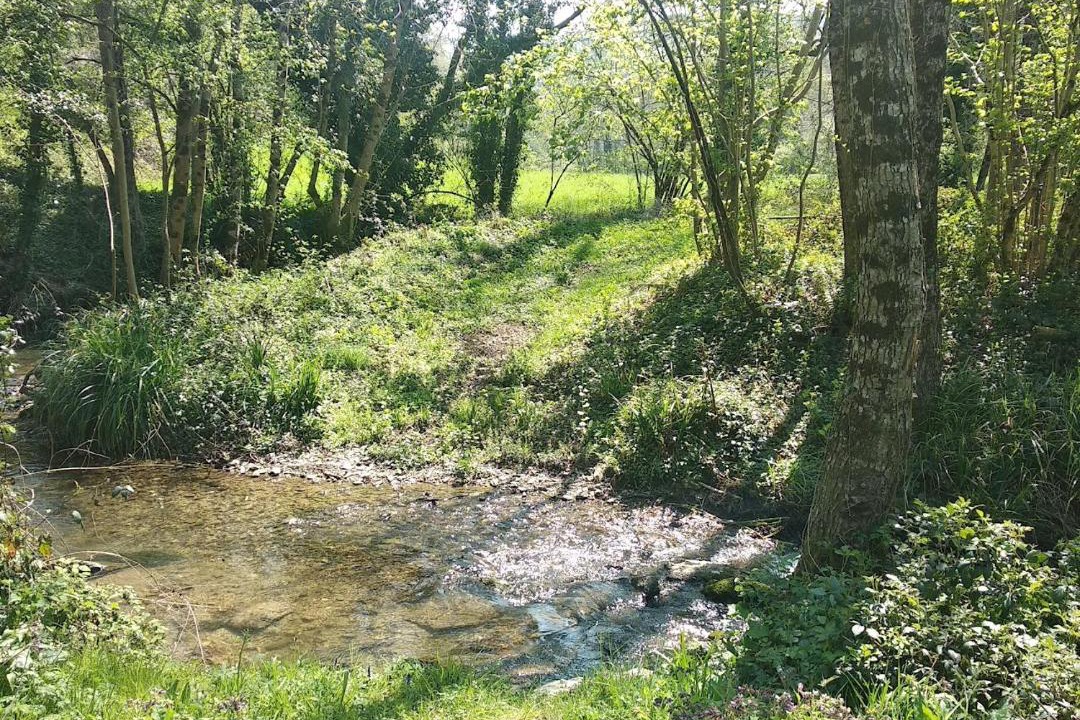Photo of Others in Curvalle