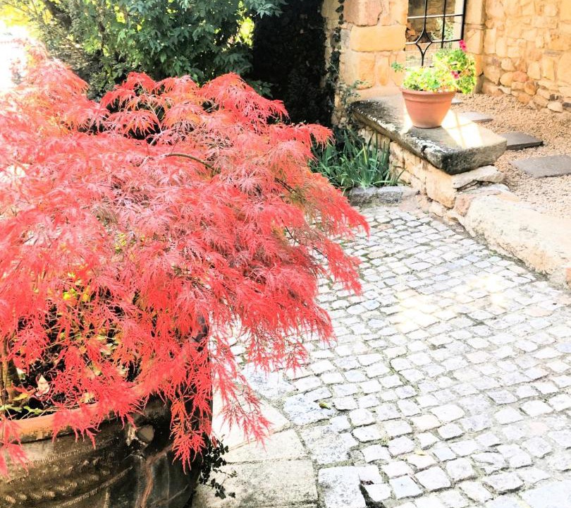 Photo of Others in Montpeyroux