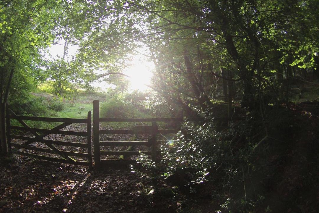 Photo of Outdoor in Kentisbury