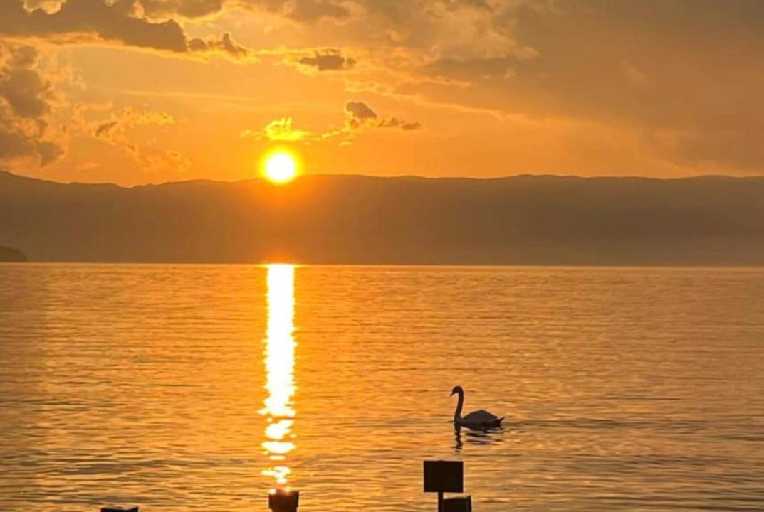 Photo of Others in Sciez