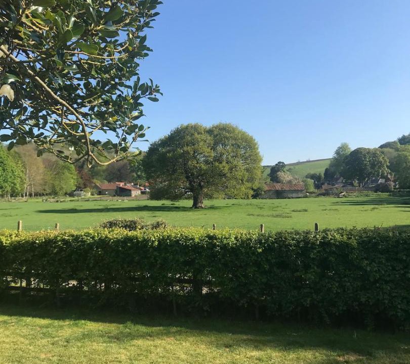 Photo of Others in Gilling East