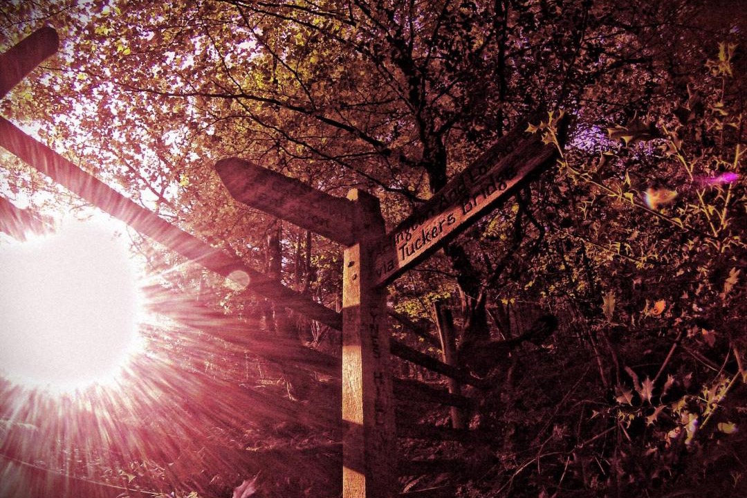Photo of Bedroom in Kentisbury