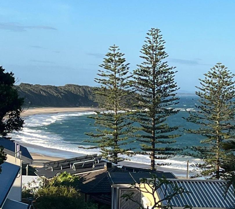 Photo of Others in Black Head