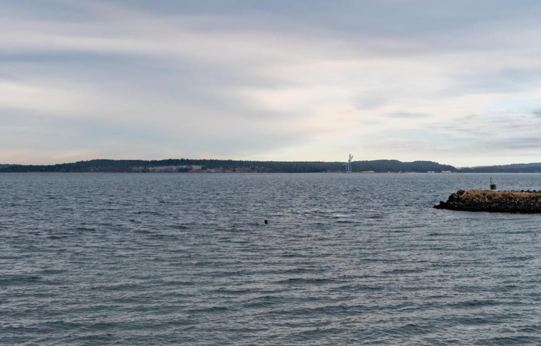 Photo of Others in Port Townsend
