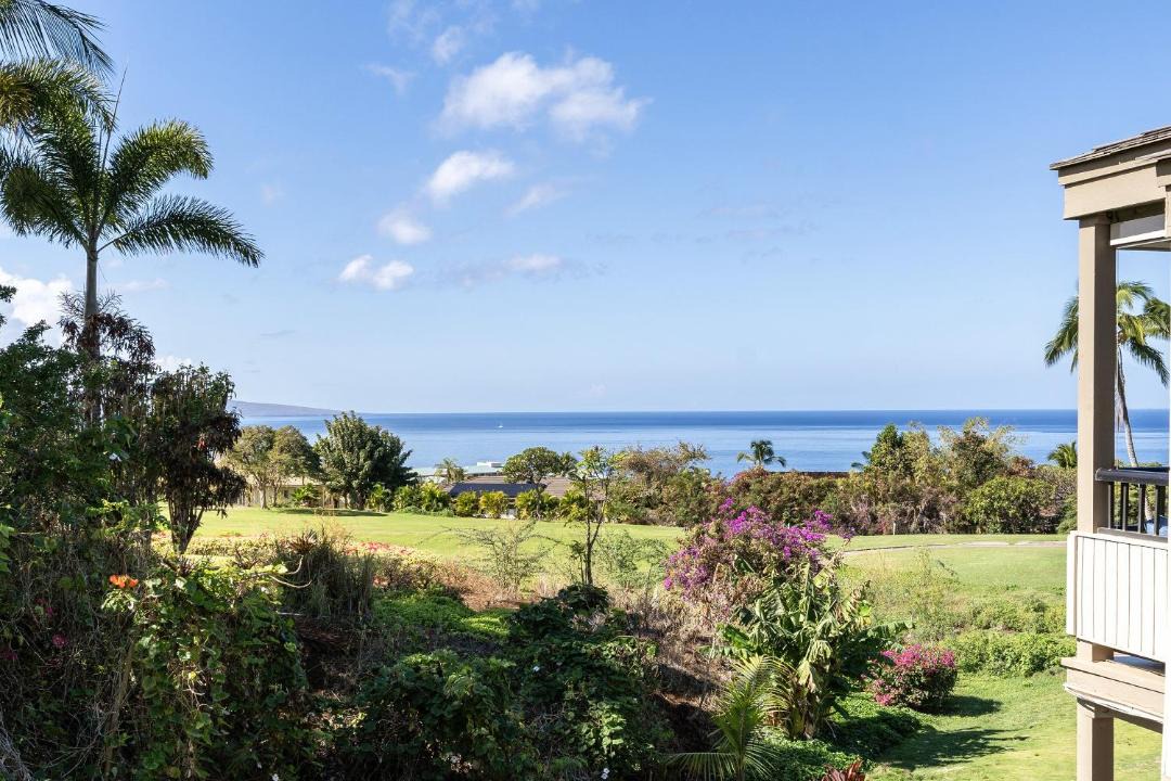 Photo of Others in Wailea