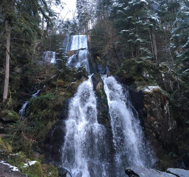 Photo of Others in Le Tholy