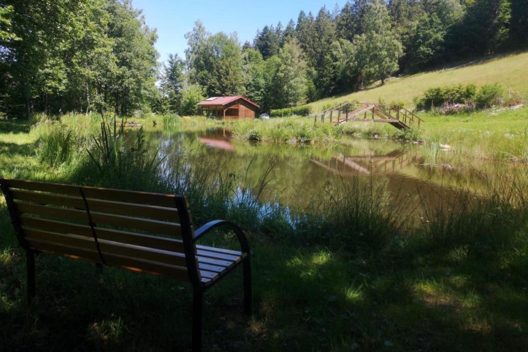 Photo of Others in Le Tholy