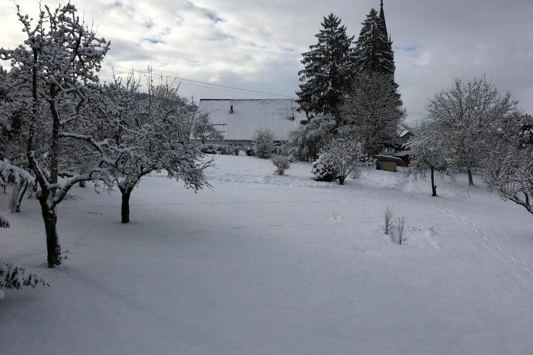 Photo of Others in Bians-les-Usiers
