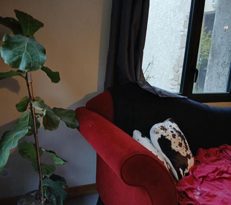 Photo of Others in Colonzelle