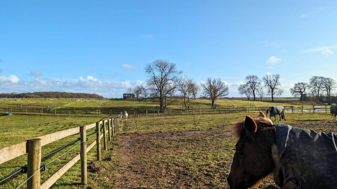 Photo of Others in Vron